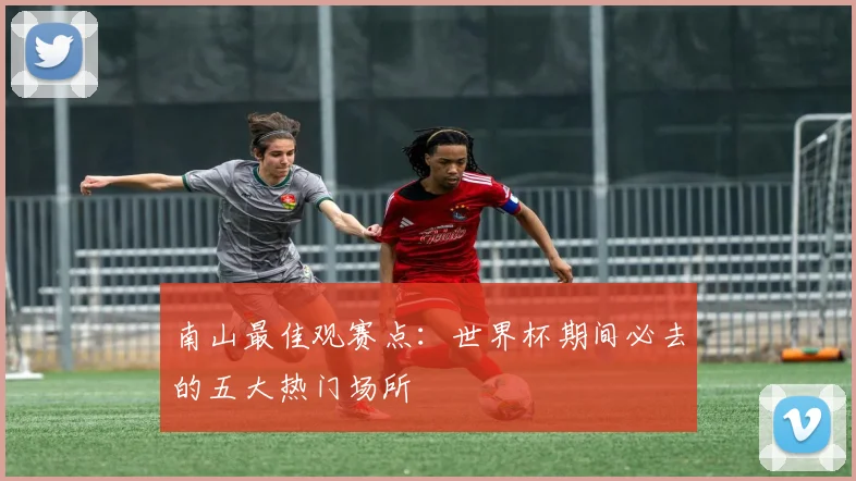 南山最佳观赛点：世界杯期间必去的五大热门场所