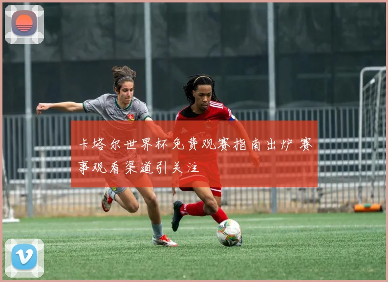 卡塔尔世界杯免费观赛指南出炉 赛事观看渠道引关注