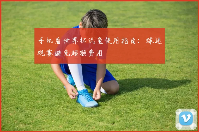 手机看世界杯流量使用指南：球迷观赛避免超额费用