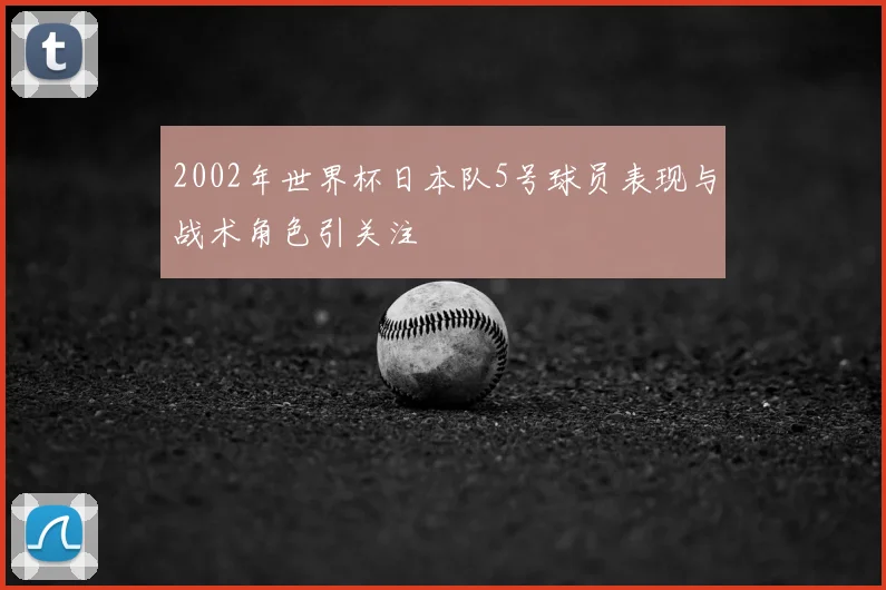 2002年世界杯日本队5号球员表现与战术角色引关注