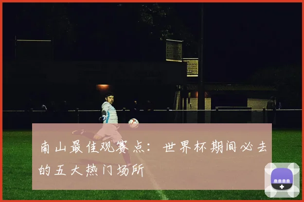 南山最佳观赛点：世界杯期间必去的五大热门场所