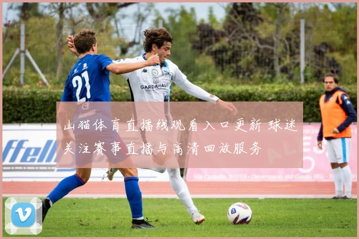 山猫体育直播线观看入口更新 球迷关注赛事直播与高清回放服务
