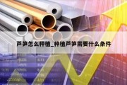 芦笋怎么种植_种植芦笋需要什么条件
