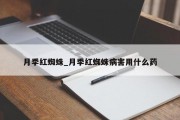 月季红蜘蛛_月季红蜘蛛病害用什么药