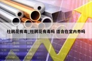 杜鹃花有毒_杜鹃花有毒吗 适合在室内养吗