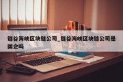 链谷海峡区块链公司_链谷海峡区块链公司是国企吗