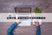 盆栽柠檬_盆栽柠檬不开花不结果原因