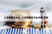 三角梅图片大全_三角梅图片大全大图 壁纸