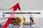 什么的桂花_什么的桂花树上开满了什么的桂花