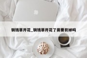 铜钱草开花_铜钱草开花了需要剪掉吗