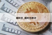 斑叶兰_斑叶兰种子