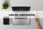 小桃红兰花_小桃红兰花好养吗
