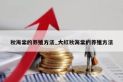 秋海棠的养殖方法_大红秋海棠的养殖方法
