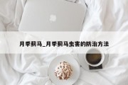 月季蓟马_月季蓟马虫害的防治方法