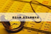 蒜怎么种_蒜怎么种植方法