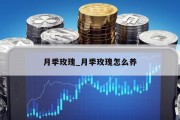 月季玫瑰_月季玫瑰怎么养