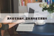 满天星花束图片_蓝色满天星花束图片