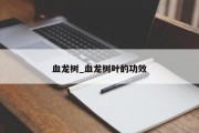 血龙树_血龙树叶的功效