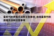 富贵竹的养殖方法和注意事项_水培富贵竹的养殖方法和注意事项