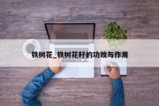 铁树花_铁树花籽的功效与作用