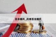 百合图片_药用百合图片