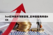 bsn区块链开发联盟链_区块链服务网络BSN