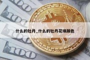 什么的牡丹_什么的牡丹花填颜色
