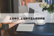 土豆种子_土豆种子怎么切块种植