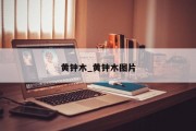 黄钟木_黄钟木图片