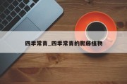 四季常青_四季常青的爬藤植物
