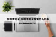 郁金香叶子_郁金香叶子发黄怎么回事