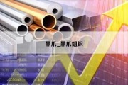 黑爪_黑爪组织