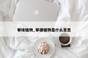 攀缘植物_攀援植物是什么意思