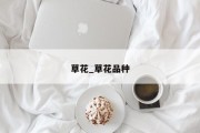 草花_草花品种