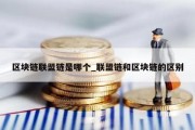区块链联盟链是哪个_联盟链和区块链的区别