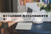 梅子什么时候成熟_梅子什么时候成熟季节初夏?