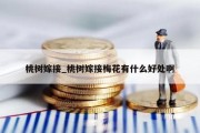 桃树嫁接_桃树嫁接梅花有什么好处啊