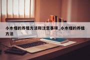 小木槿的养殖方法和注意事项_小木槿的养植方法