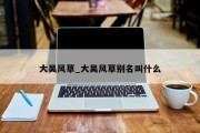大吴风草_大吴风草别名叫什么