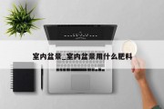 室内盆景_室内盆景用什么肥料
