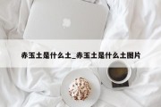 赤玉土是什么土_赤玉土是什么土图片