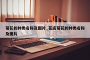 菊花的种类名称及图片_花店菊花的种类名称及图片