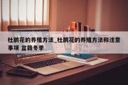 杜鹃花的养殖方法_杜鹃花的养殖方法和注意事项 盆栽冬季