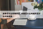 木棉花什么时候开花_木棉花什么时候开花什么时候凋落