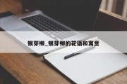 银芽柳_银芽柳的花语和寓意