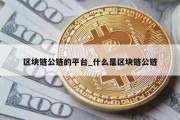 区块链公链的平台_什么是区块链公链