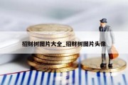 招财树图片大全_招财树图片头像