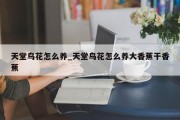 天堂鸟花怎么养_天堂鸟花怎么养大香蕉干香蕉
