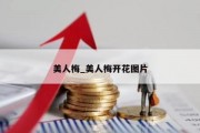 美人梅_美人梅开花图片