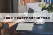 月季玫瑰_月季玫瑰花的养殖方法和注意事项
